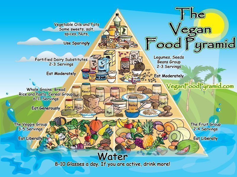 Pirâmide da alimentação vegan