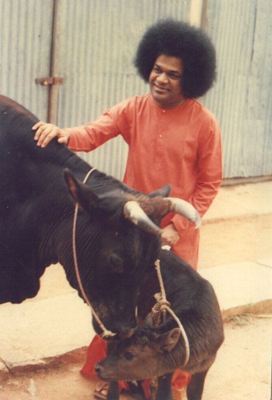 Religiões vegetarianas