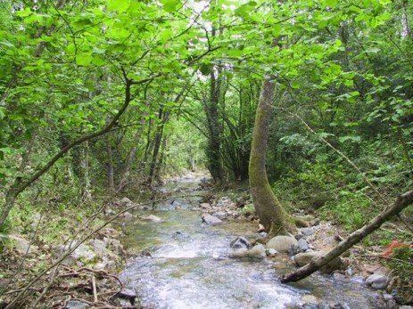 Preservação da flora e fauna