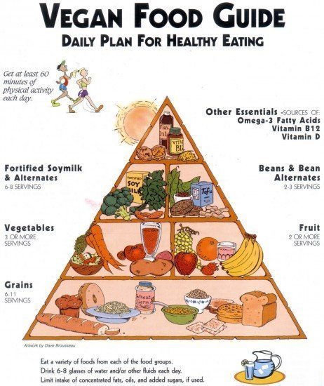 Pirâmide de alimentação vegan