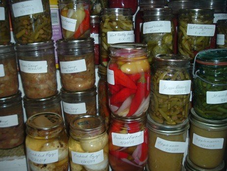 Conservando alimentos