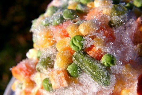 Congelando vegetais